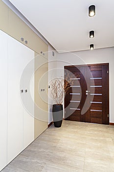 Modern anteroom in the apartment