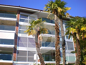 Modern apartment block with palms