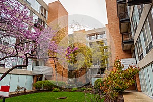 Modern apartment building with a small communal garden in spring