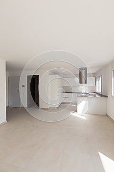 Modern apartment, empty spaces, kitchen