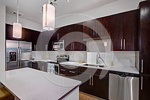 Modern Apartment Kitchen