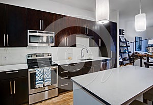 Modern Apartment Kitchen