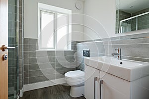 Modern Apartment Shower room in grey and white