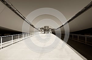 Modern architectural desert