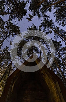 Modern architecture building in the woods by night