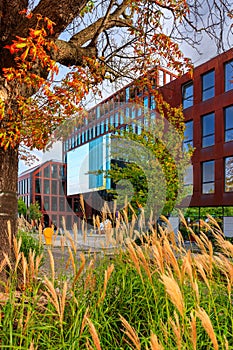 Modern architecture of the business district in Gdansk at autumn, Poland