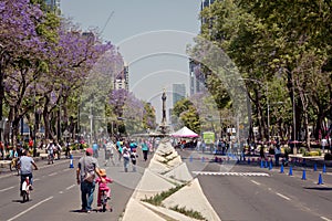 Modern architecture, parks and building in the centre of Mexico city