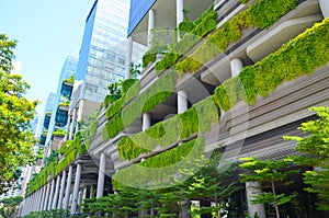 Modern architecture and vertical gardens of Singapore