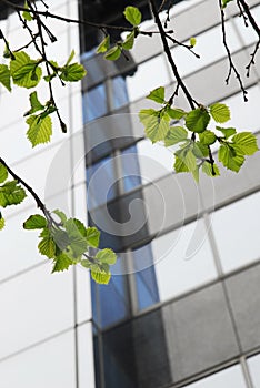 Modern architecture with window glass front in Bulevar Oslobodjenja, Novi Sad, Serbia - april,11 2021. photo