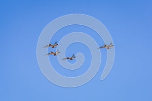 Modern armed military fighter jets flys in formation through the sky