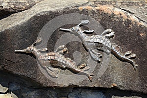 Modern art at Manly beach