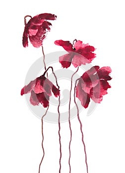 Modern art of poppy flowers, watercolor illustrator