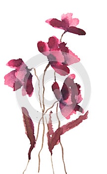 Modern art of poppy flowers, watercolor illustrator