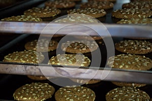 Modern bakery in confectionery factory. Cookies in the oven