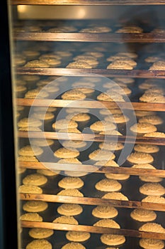 Modern bakery in confectionery factory. Cookies in the oven