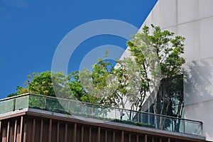 Modern balcony garden soars into blue sky