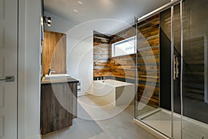 Modern bathroom with barn wood