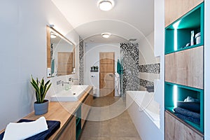Modern bathroom with bathtub and shower
