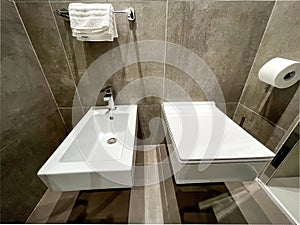Modern Bathroom. Corner of Modern Bathroom with Gray Walls, Concrete Floor, Toilet and Bidet