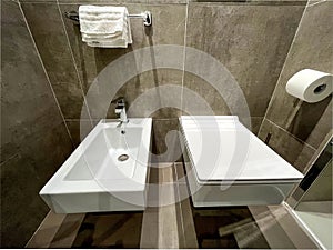 Modern Bathroom. Corner of Modern Bathroom with Gray Walls, Concrete Floor, Toilet and Bidet