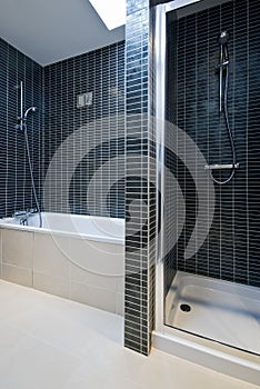 Modern bathroom detail with bath tub and shower