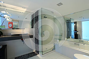 Modern Bathroom Details