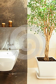 Modern bathroom details