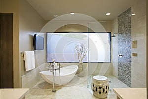 Modern Bathroom With Freestanding Bath photo