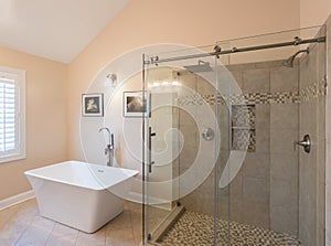 Modern bathroom with freestanding tub and shower photo