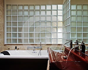 Modern bathroom with glass block