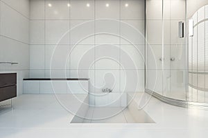 Modern bathroom interior