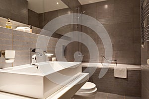 Modern bathroom interior