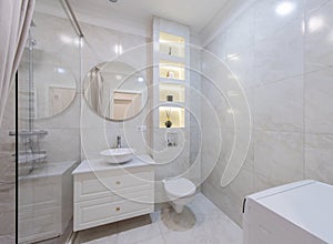 Modern Bathroom Interior. Bathroom Sink, Decoration and Mirror. Shower Glass. Luxury Home