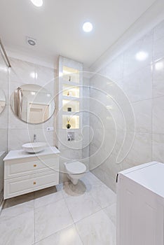 Modern Bathroom Interior. Bathroom Sink, Decoration and Mirror. Shower Glass. Luxury Home