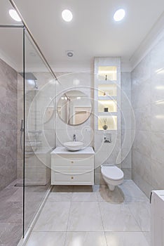 Modern Bathroom Interior. Bathroom Sink, Decoration and Mirror. Shower Glass. Luxury Home