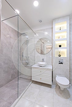 Modern Bathroom Interior. Bathroom Sink, Decoration and Mirror. Shower Glass. Luxury Home