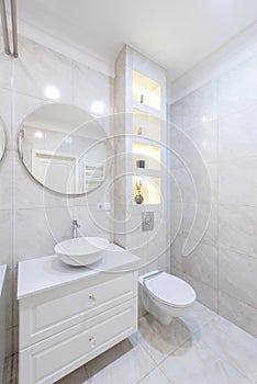 Modern Bathroom Interior. Bathroom Sink, Decoration and Mirror. Shower Glass. Luxury Home