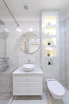 Modern Bathroom Interior. Bathroom Sink, Decoration and Mirror. Shower Glass. Luxury Home