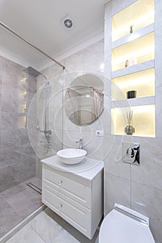 Modern Bathroom Interior. Bathroom Sink, Decoration and Mirror. Shower Glass. Luxury Home