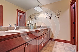 Modern bathroom interior with cherrywood cabinets and tile floor