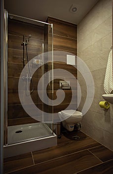 Modern bathroom interior with minimalistic shower and lighting, white toilet