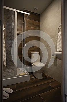 Modern bathroom interior with minimalistic shower and lighting, white toilet