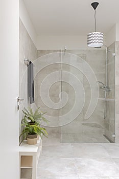 Modern bathroom interior with shower and glass partition. On the right two small plants