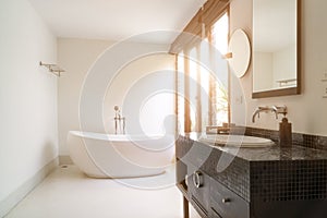 Modern bathroom interior with white oval bathtub