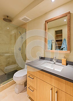 Modern bathroom in luxury home