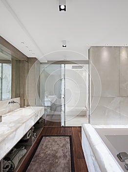 Modern bathroom with marble and parquet, nobody