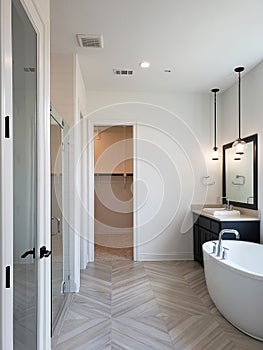 Modern bathroom in a new house TX USA