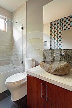 Modern bathroom with rock sink fixture