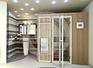 Modern bathroom with sauna