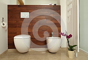 Modern bathroom with toilet and bidet